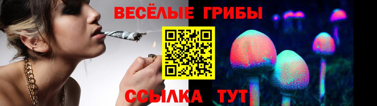 Галлюциногенные грибы мицелий  Вход с VPN  Саяногорск 